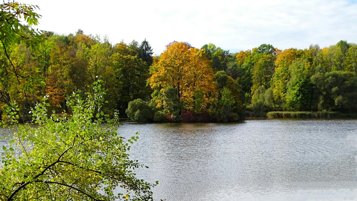 Про смоленскую осень. - Милешкин Владимир Алексеевич 