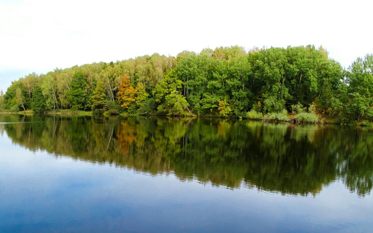 Осень в октябре (репортаж из поездок по области) - Милешкин Владимир Алексеевич 