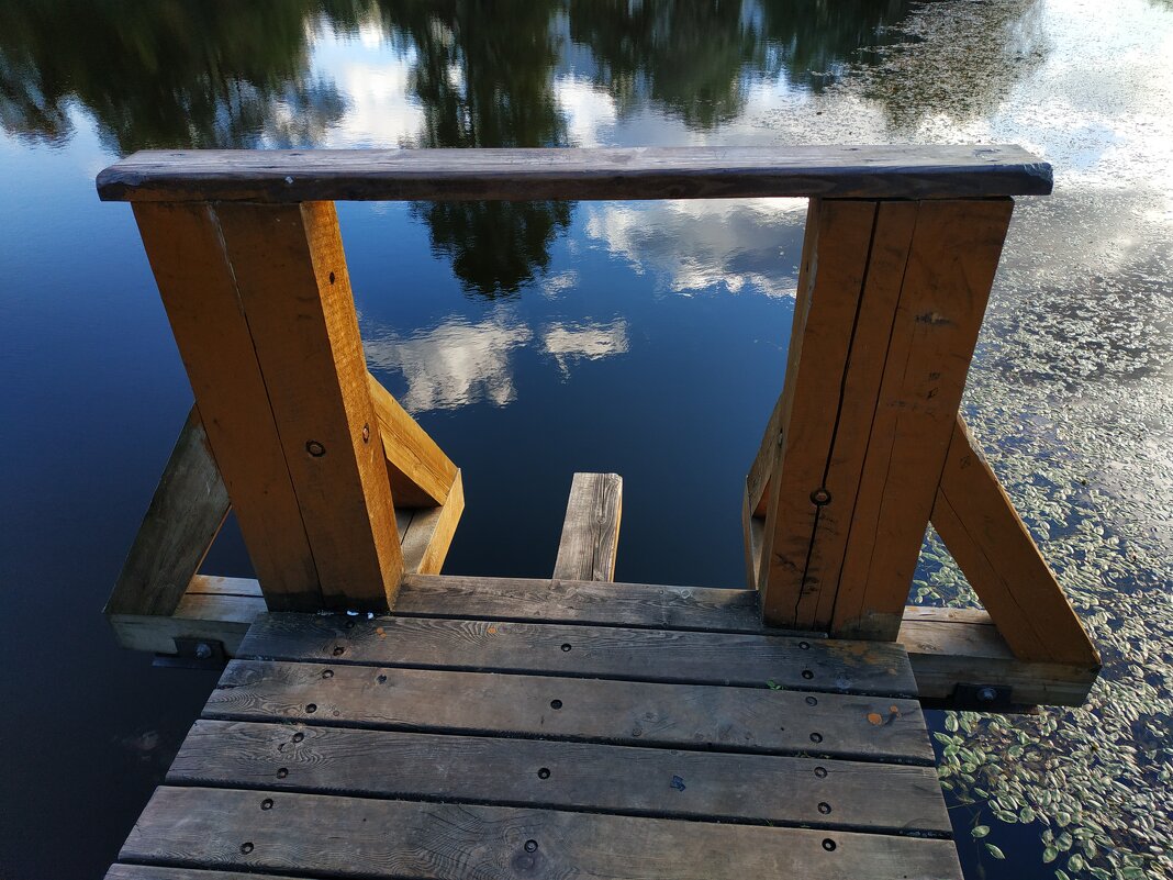 Прыжки в воду отодвигаются до мая - Андрей Лукьянов