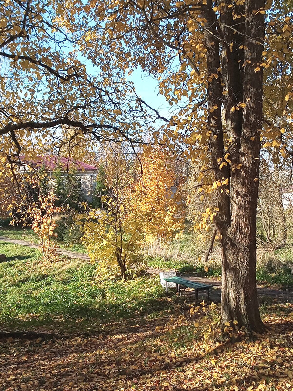 Золото осени - Фотогруппа Весна Золото осени - Фотогруппа Весна