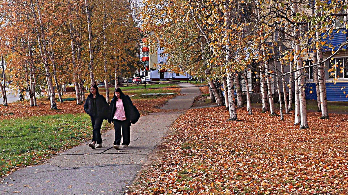 Октябрь....Подруги в березовом сквере! - Владимир 