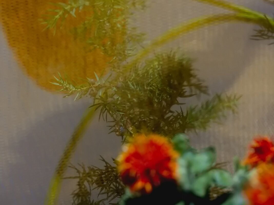 Икэбана - Тамара Вебер