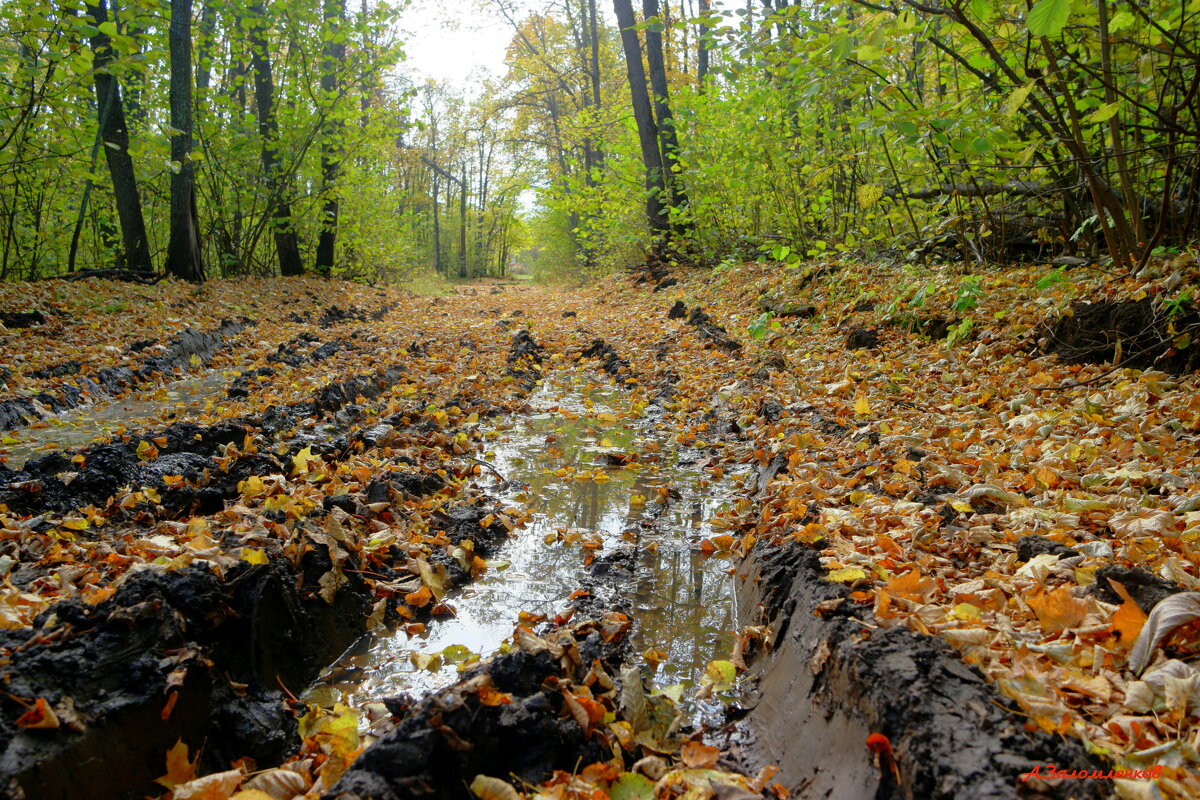 По дорогам осени... - Андрей Заломленков
