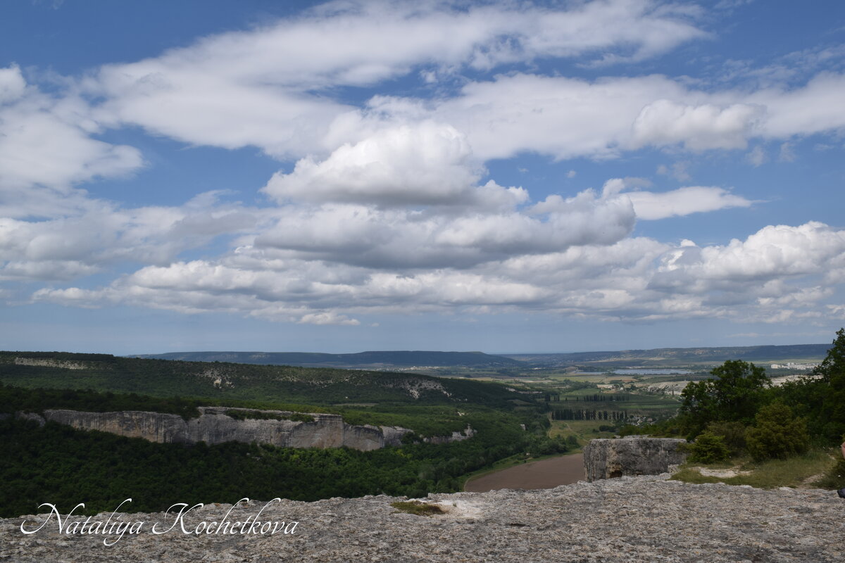 Природа Крыма - Amazing Cosmea