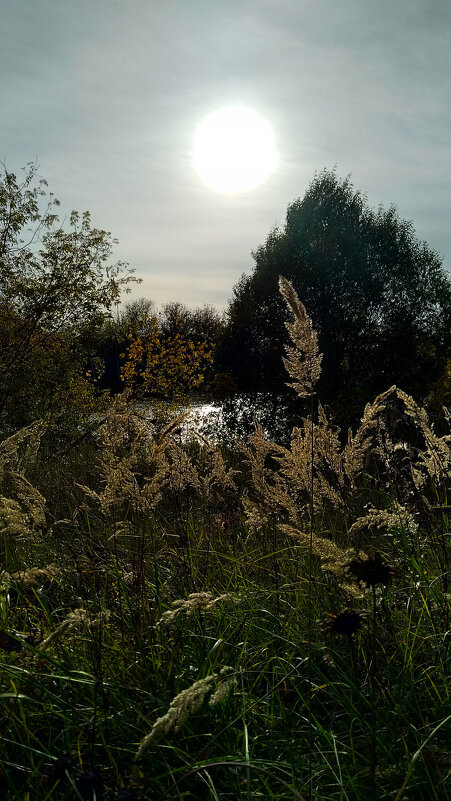 ... - Татьяна [Sumtime]