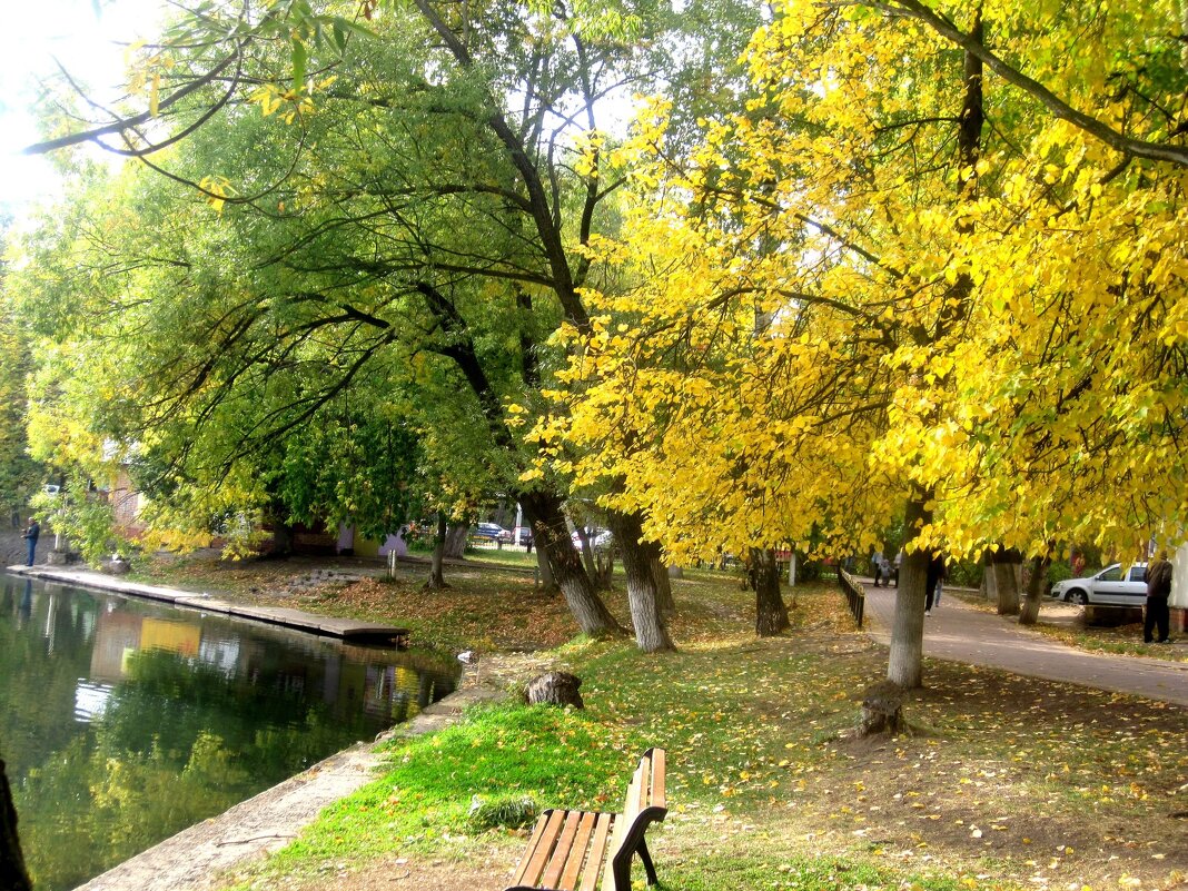 Осень - Елена Семигина