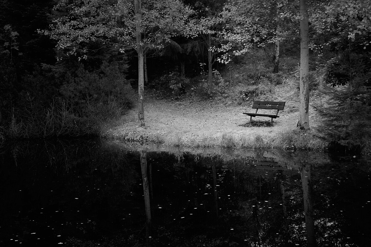 скамейка у воды - Jiří Valiska