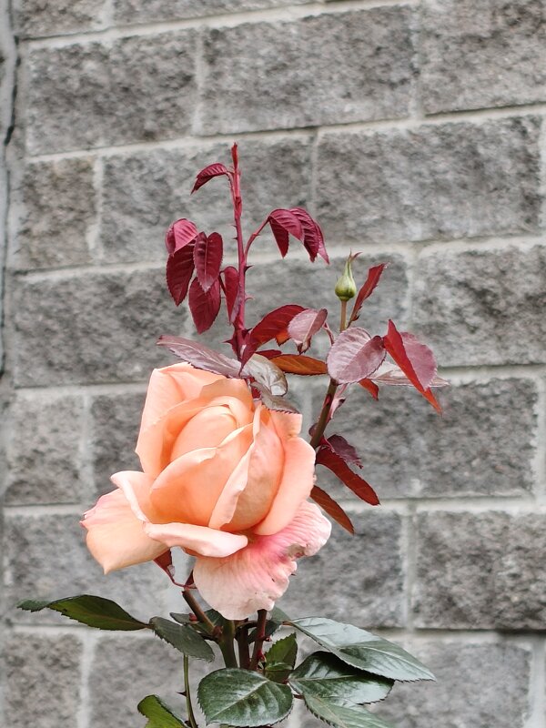 Красивые моменты - Андрей 