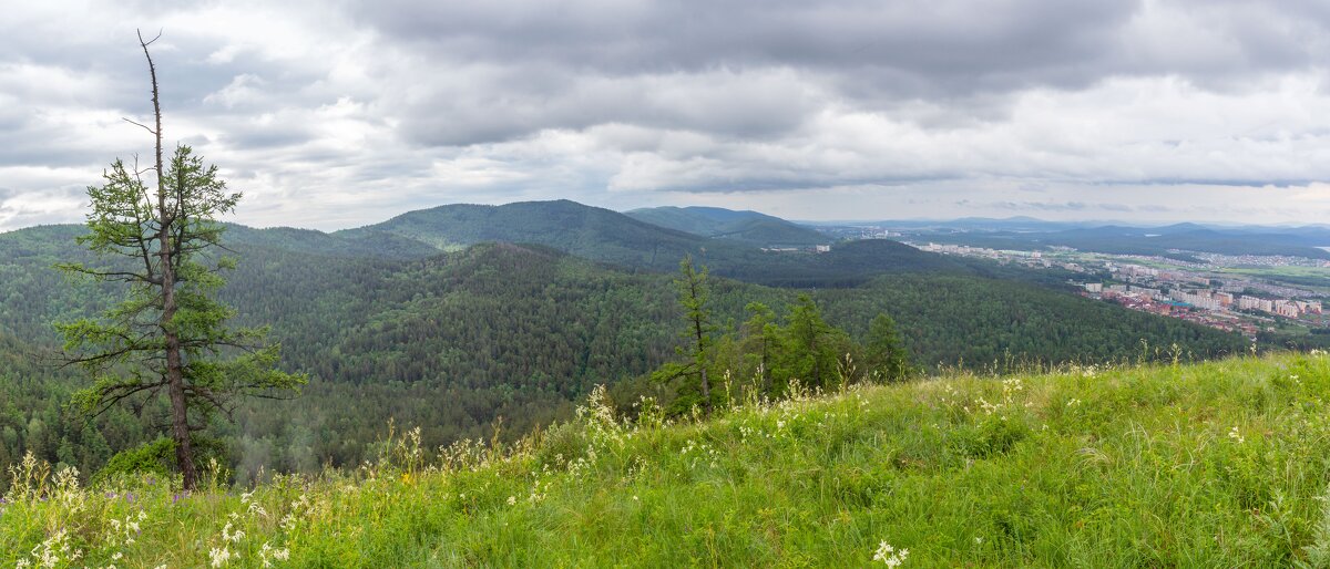 На горе Лысая. Вид на Ильменский хребет и г. Миасс, Машгородок (панорама). - Алексей Трухин