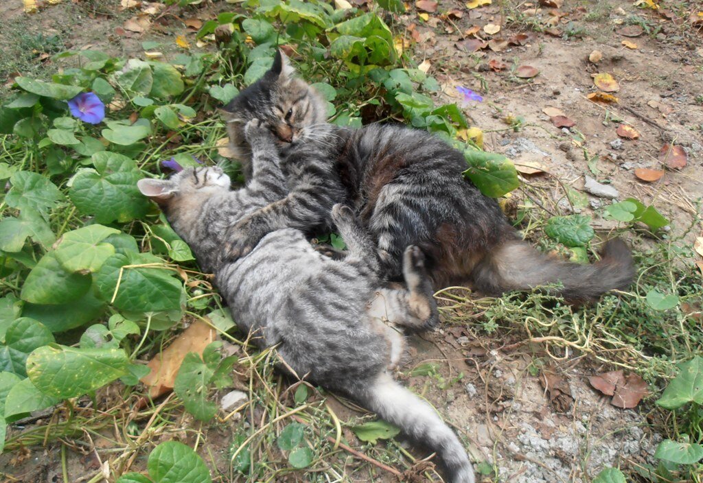 Терпение, только терпение!.. - Наталья 