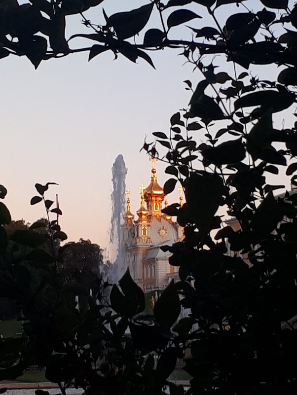 В Нижнем паке Петергофа - Надежда 