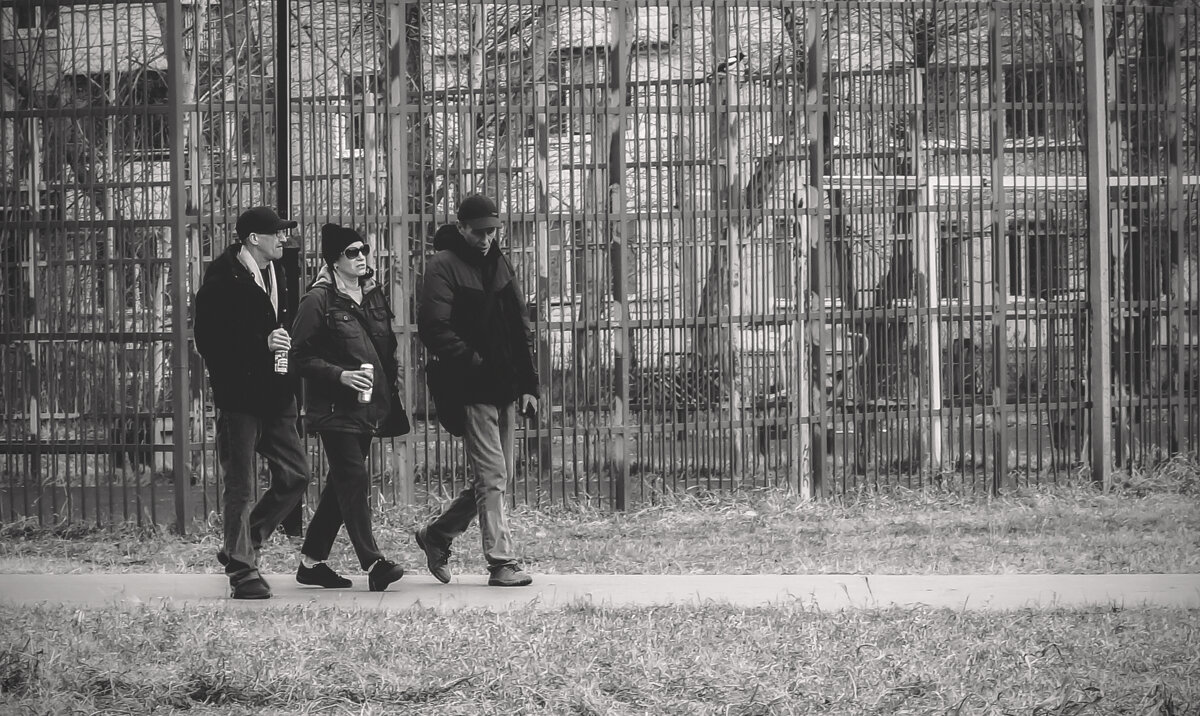 Колдыри (чб) - Сергей Царёв