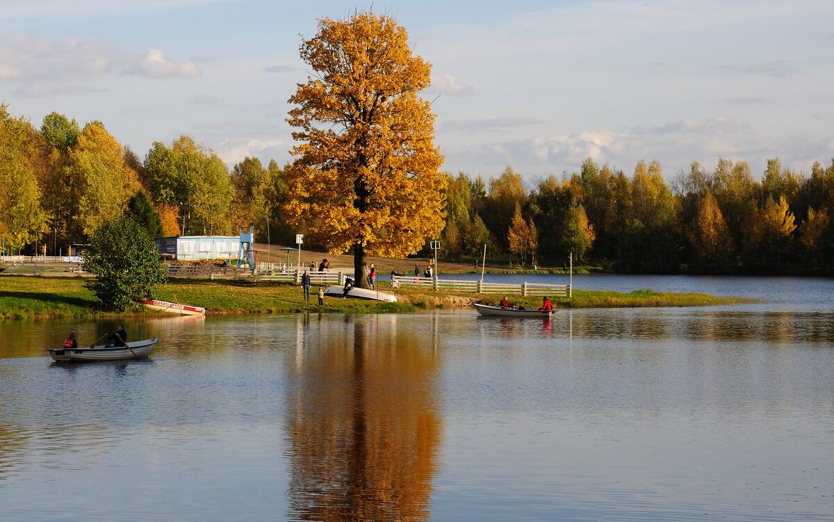 Осенний дуб - Иван Генералов