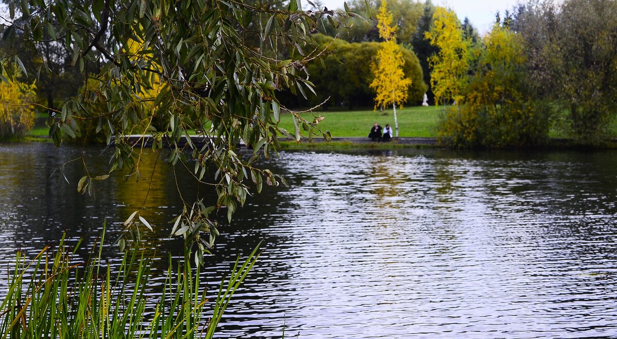 Рябь на воде. - Василий Палий