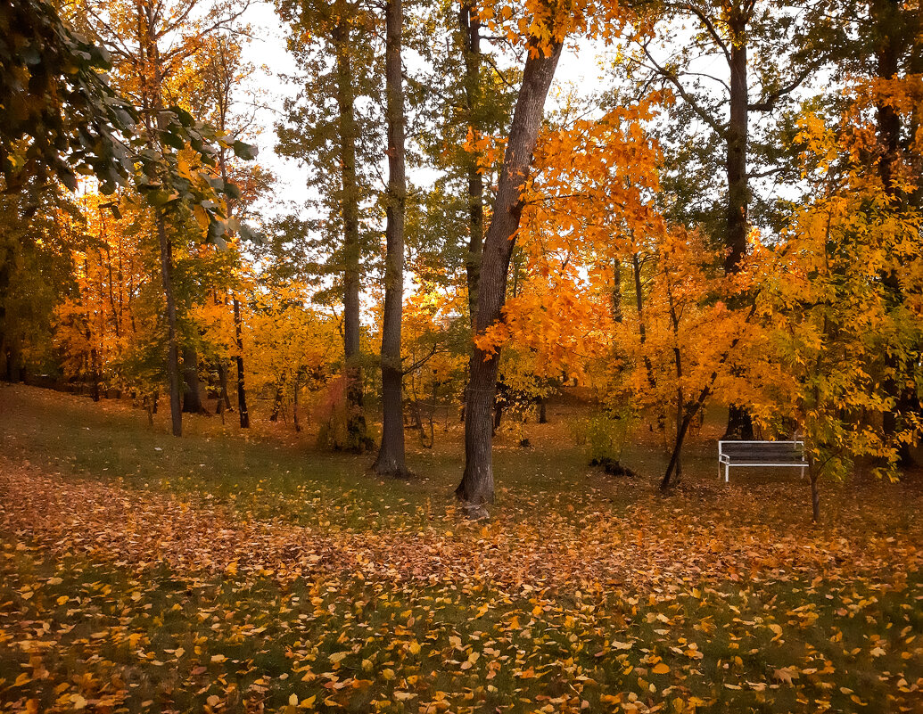 Осенний вайб - Юлия Закопайло