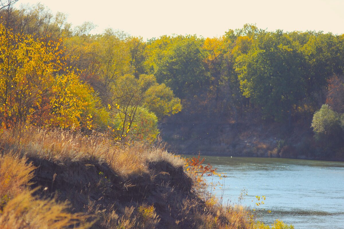 ***тёплый осенний денёк) - (Владимир С)