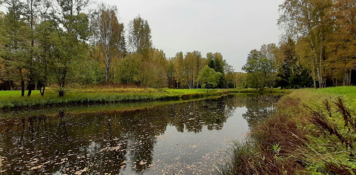 Осенний Павловск - Наталья Герасимова