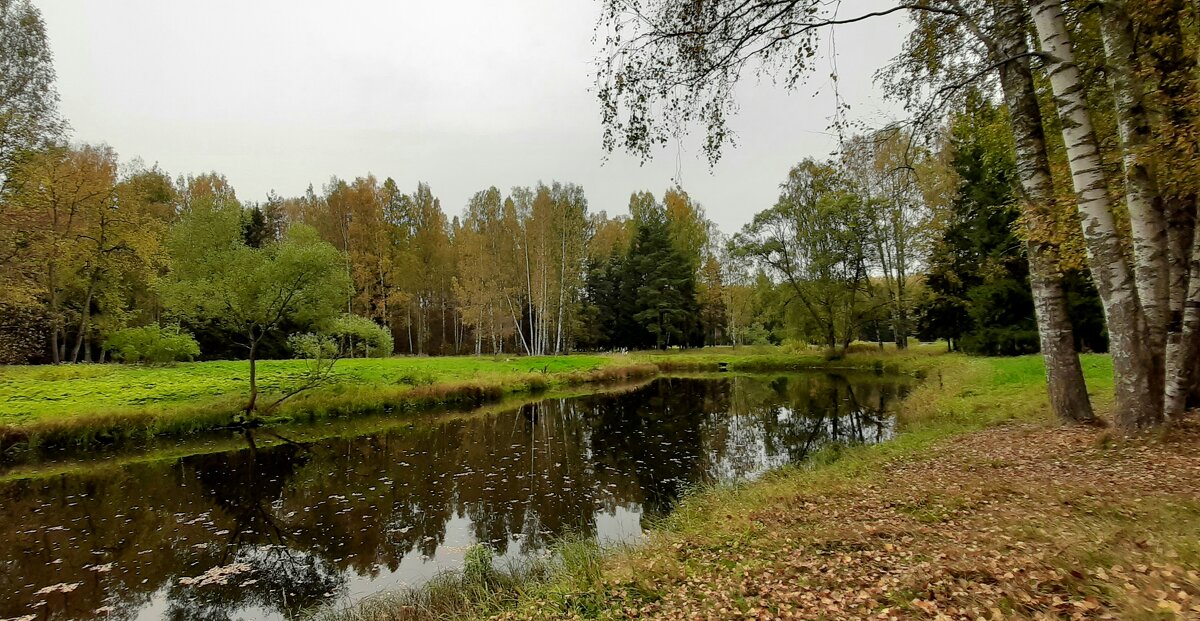 Осенний Павловск - Наталья Герасимова
