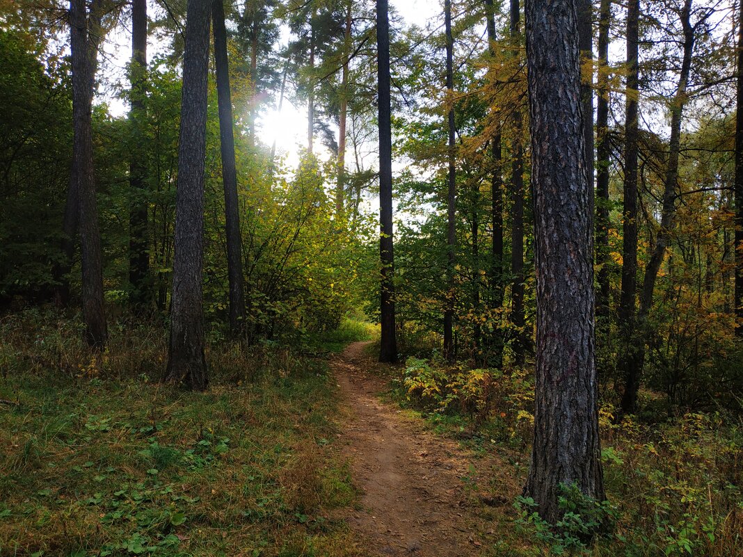 Зрелая осень - Андрей Лукьянов