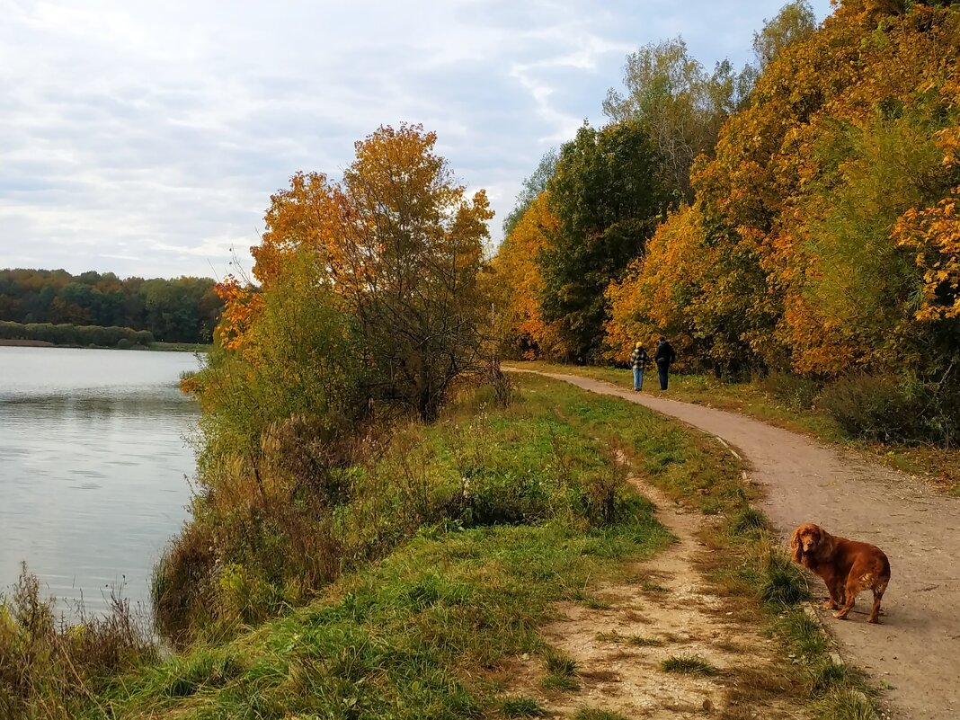 С Днем защиты животных: я оглянулся посмотреть, не оглянулась ли она... - Андрей Лукьянов