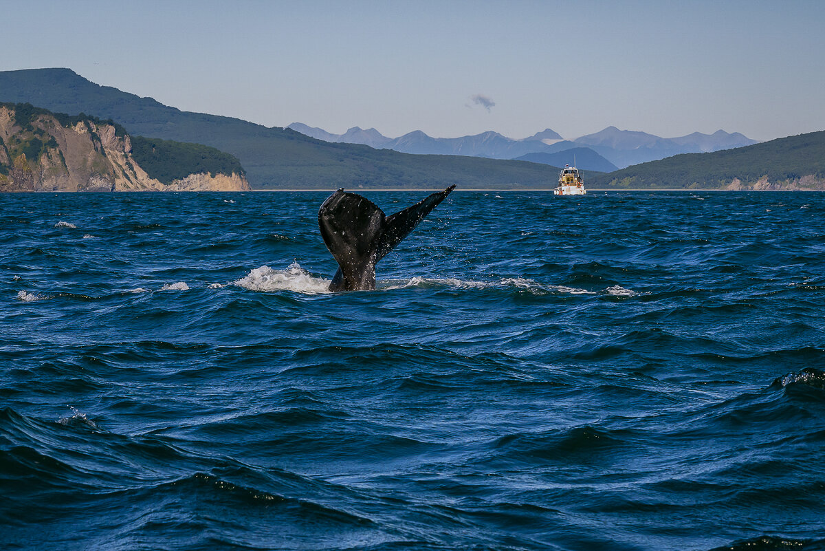 ... - Жора Житников