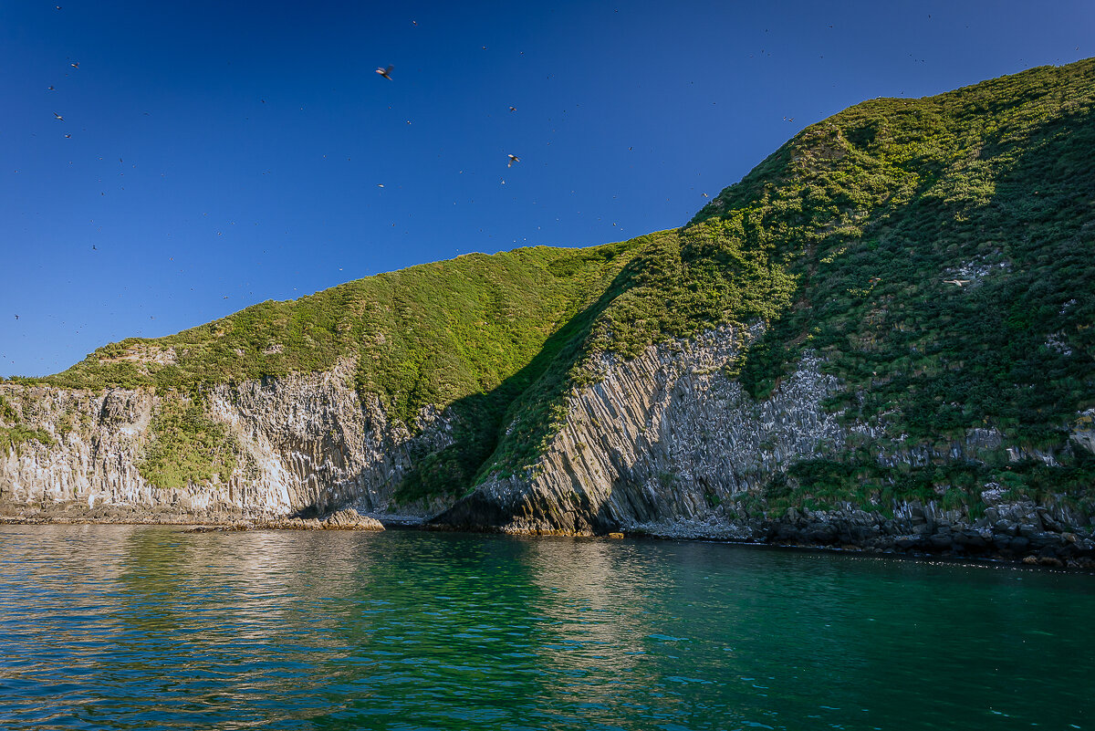 ... - Жора Житников