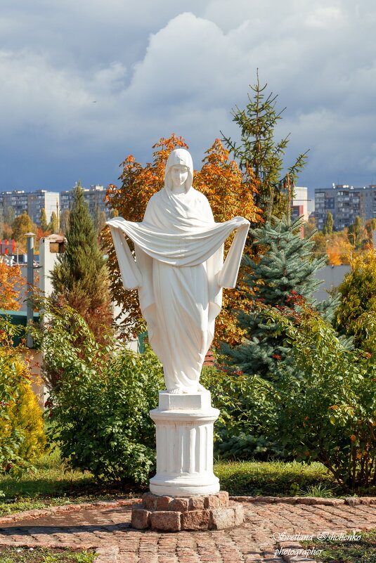 ... - Светлана Ищенко