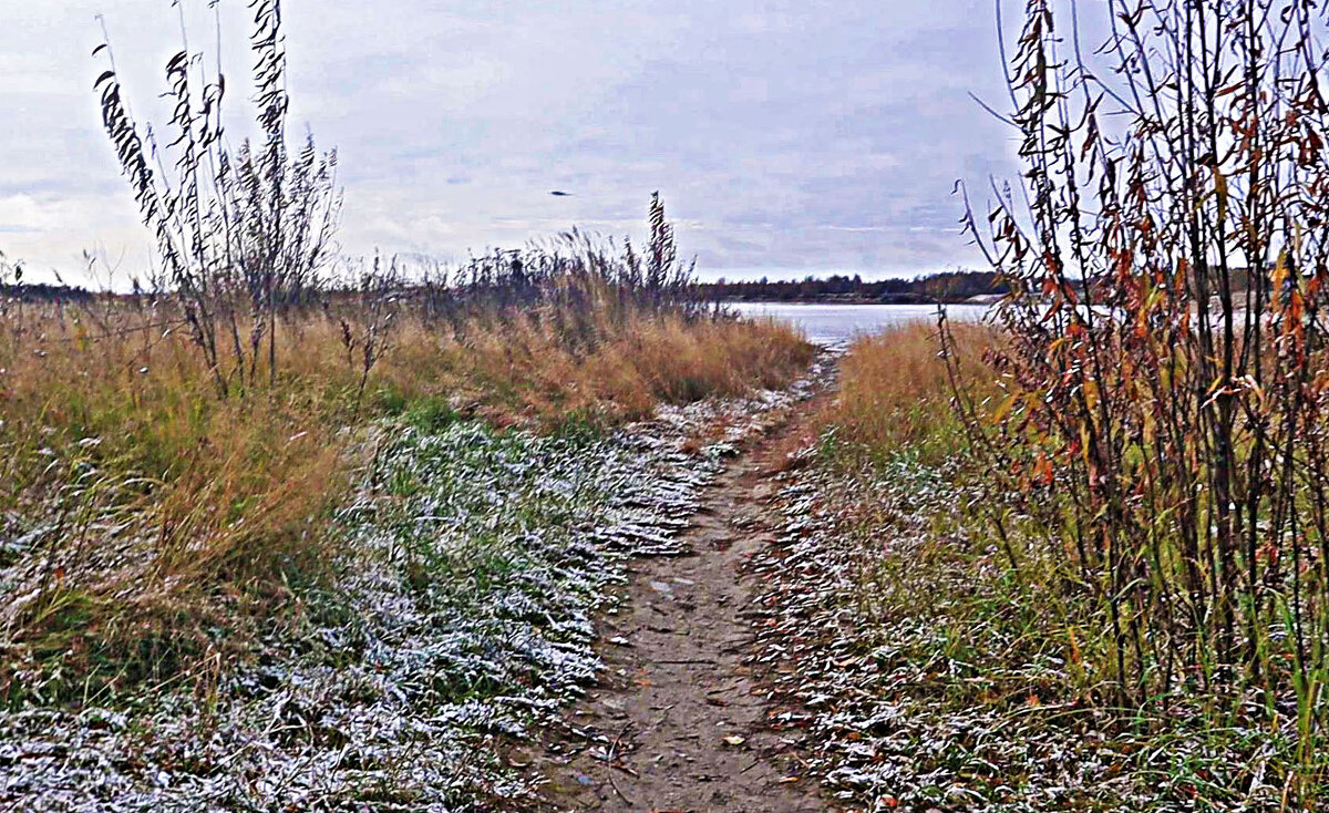 Октябрь...Рыбацкая тропа к реке! - Владимир 