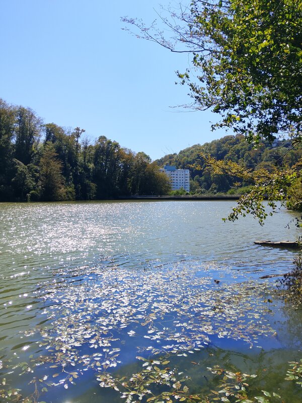 Министерские озёра - Tata Wolf Министерские озёра - Tata Wolf