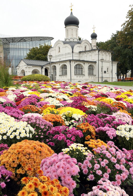 Зарядье - Михаил Бибичков