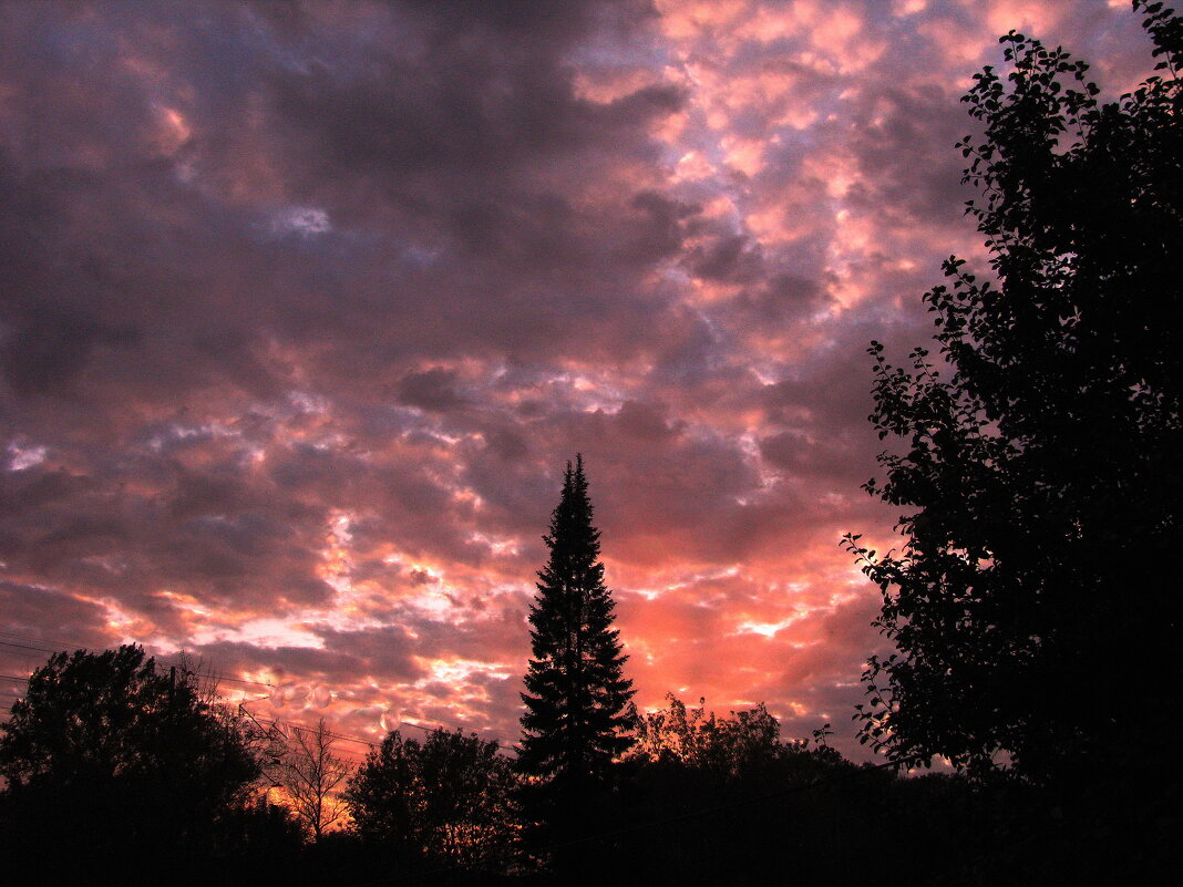 Октябрьский вечер - Людмила Смородинская