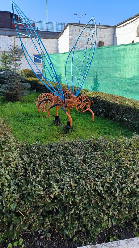 Комарик у автовокзала. - Ольга 