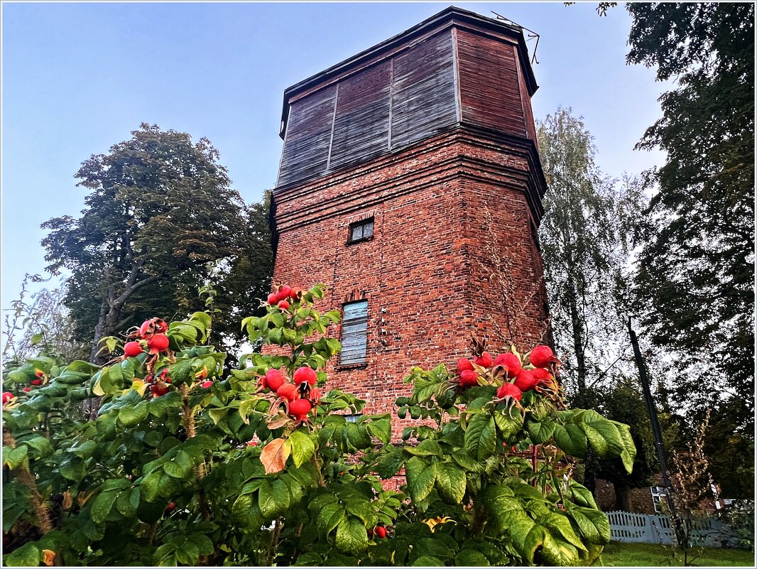 Водонапорная башня. (1889г.) - Валерия Комова Водонапорная башня. (1889г.) - Валерия Комова