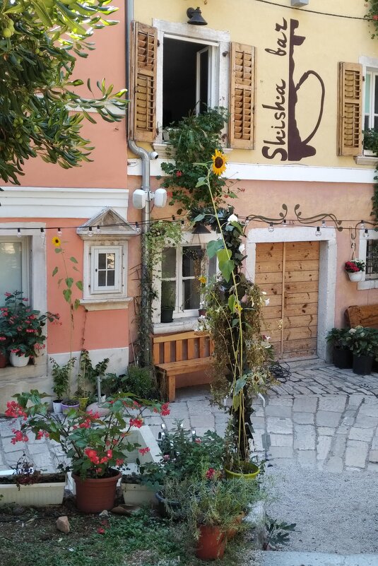 Милый дворик - Натали 