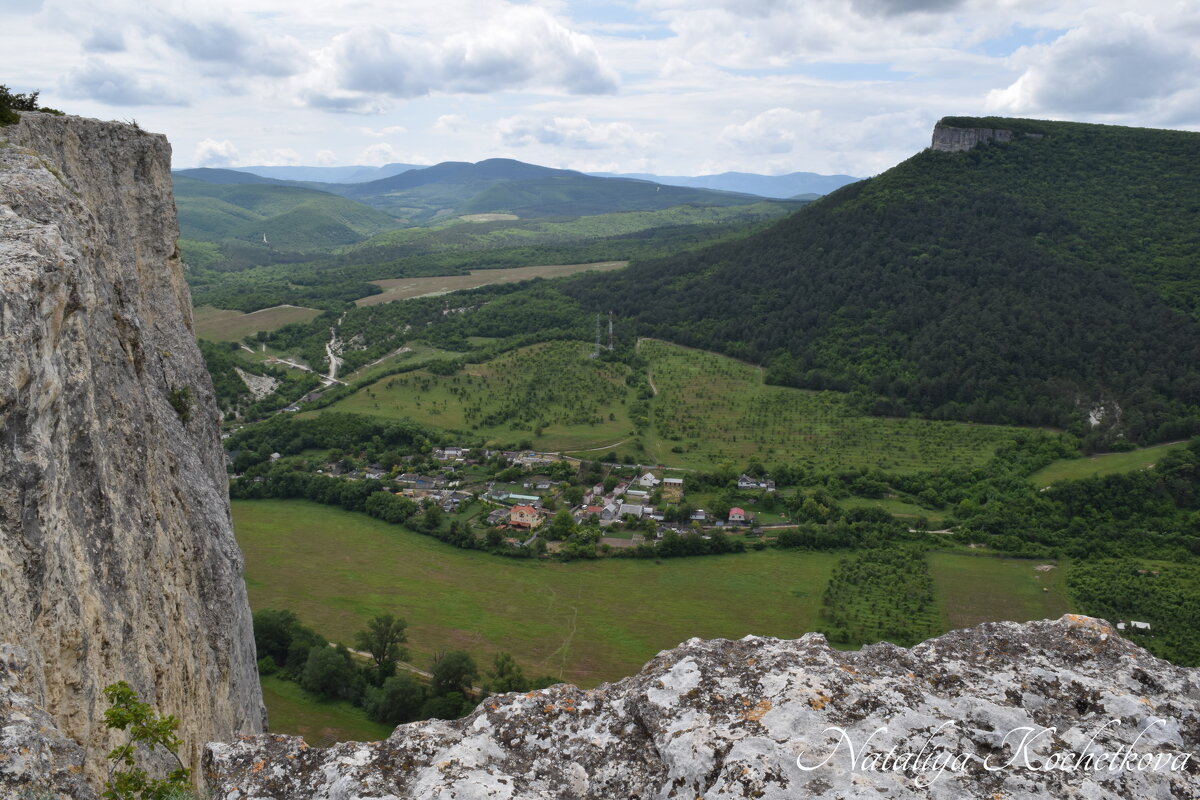 Природа Крыма - Amazing Cosmea