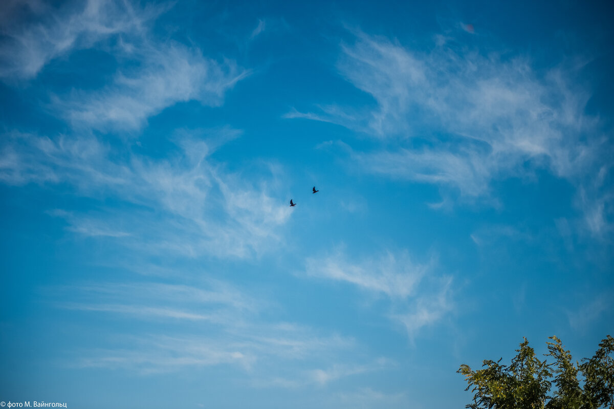 Воздушный бой (серия) - Михаил 