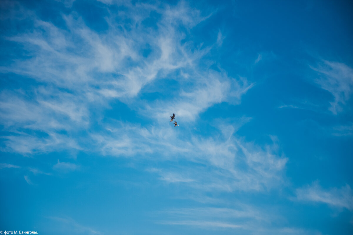 Воздушный бой (серия) - Михаил 