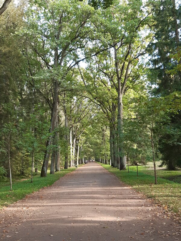 Павловск, Павловский парк - Галина Минчук Павловск, Павловский парк - Галина Минчук