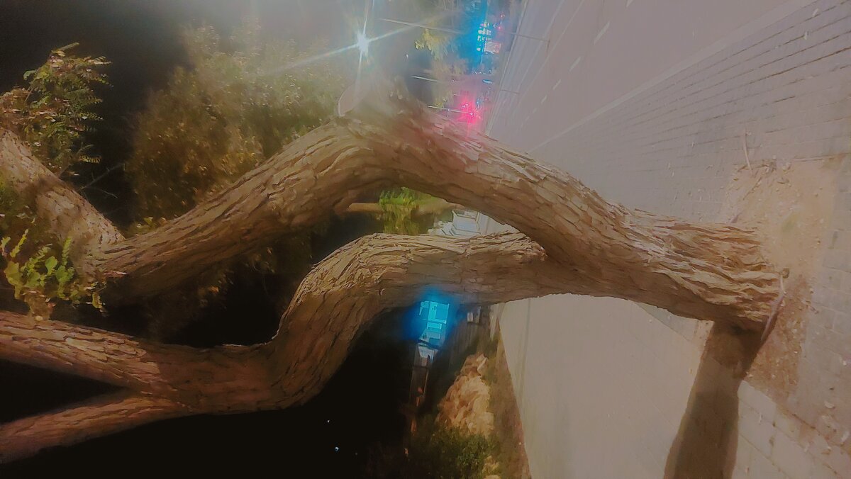 13  ОПЕН (462) - OPEN WAYS ALL