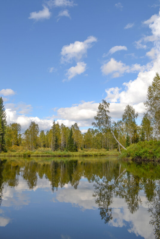 Речная тишь. - юрий Амосов