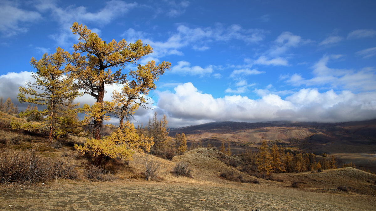 Курайская осень... - владимир 