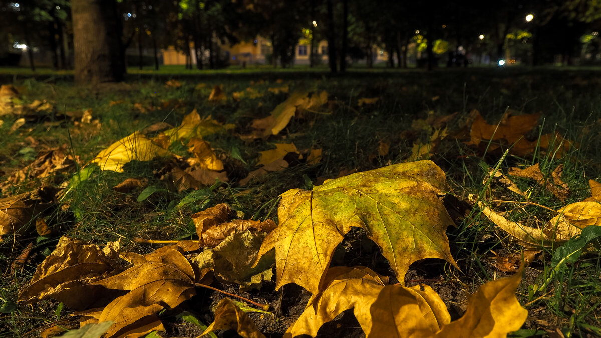 ***** - юрий поляков