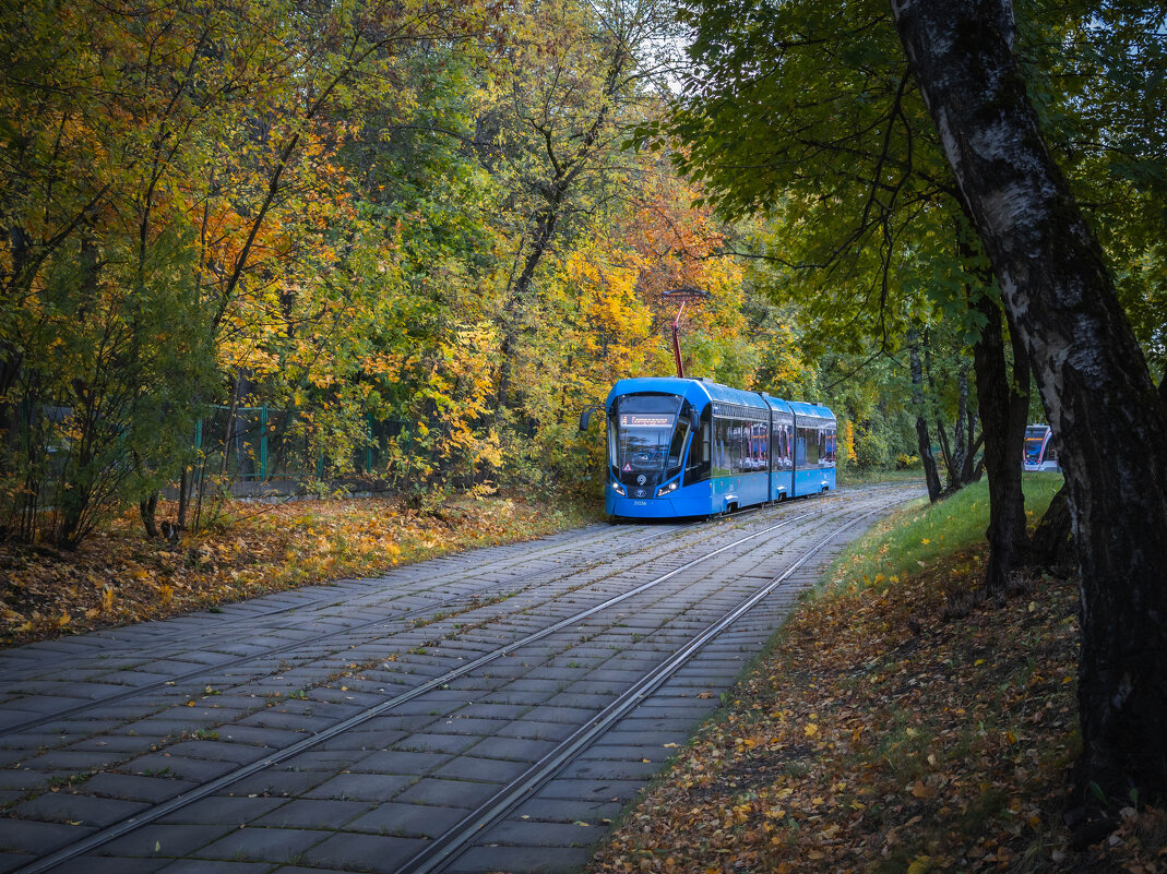Сокольники - Олег Дорошенко
