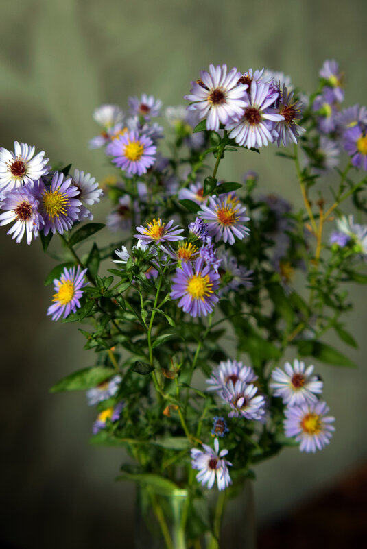 ******* - Анатолий Уткин