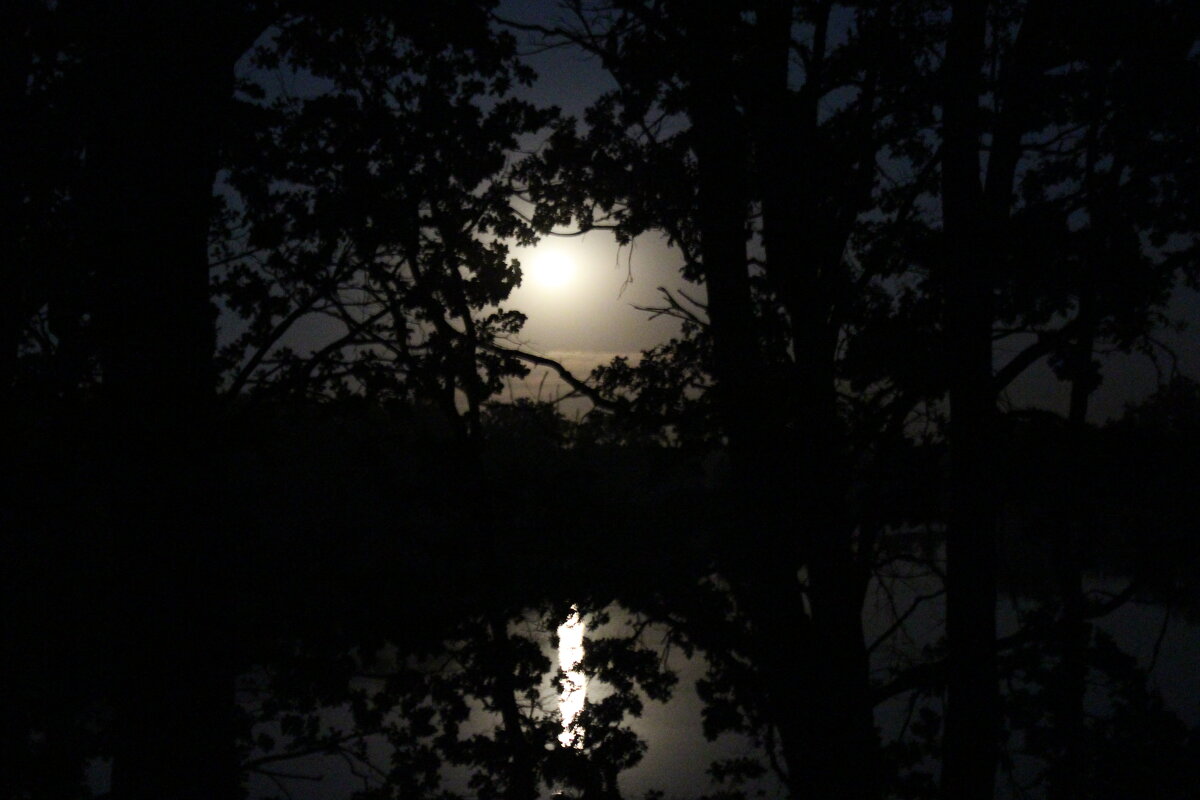 Ночь на озере - Сергей 