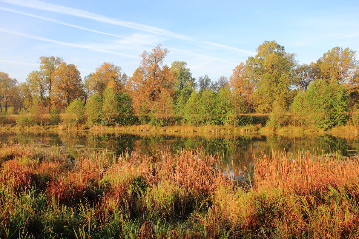 Краски осени - Евгений Корьевщиков
