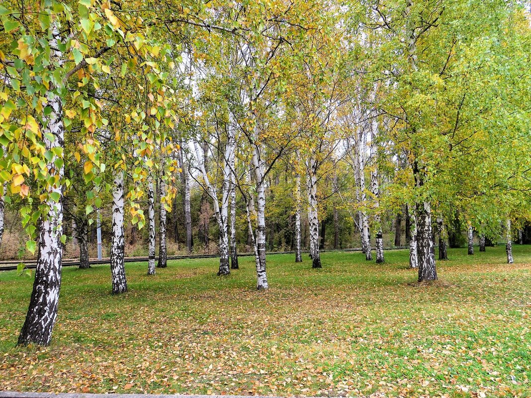 Осень в городе - Лариса С.