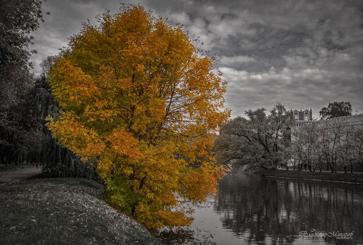 "Осень на прудах. Костер золотой"© - Владимир Макаров