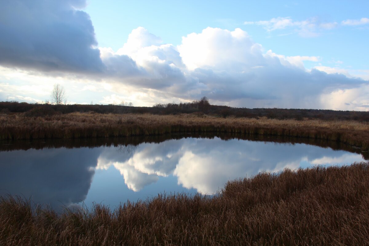 Отражение - Сергей Никифоров