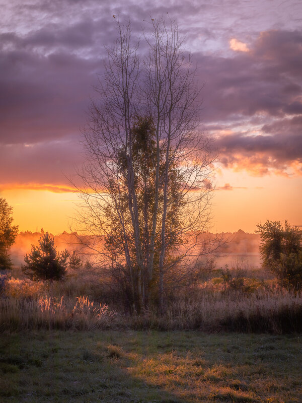 **** - Елизавета .